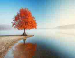 cssformatter插‌件‍怎﻿么‌用​